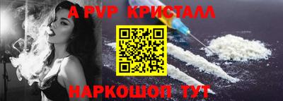 индика Кингисепп