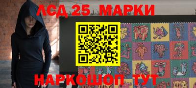 индика Кингисепп
