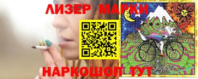 индика Кингисепп