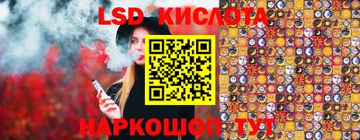 индика Кингисепп