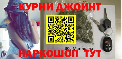 индика Кингисепп