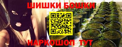 индика Кингисепп