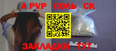 индика Кингисепп