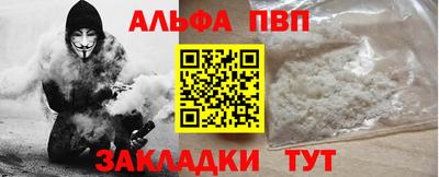 индика Кингисепп