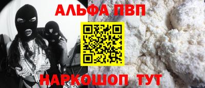 индика Кингисепп