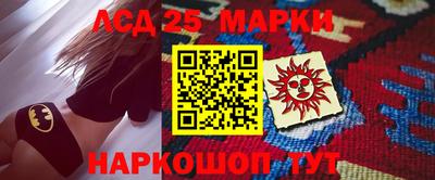 индика Кингисепп