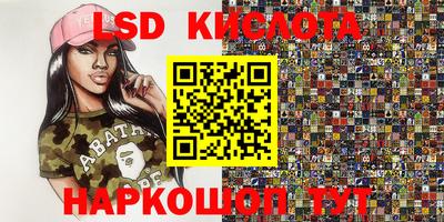 индика Кингисепп