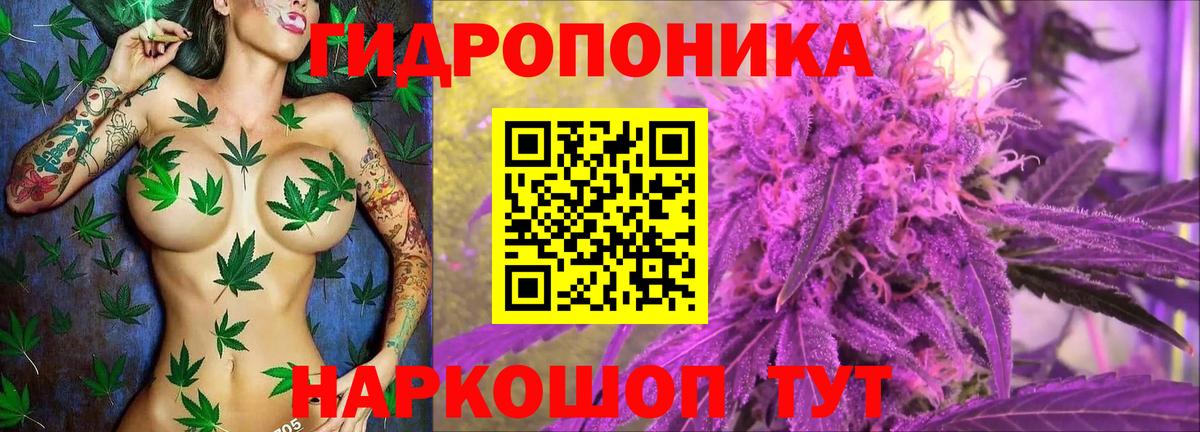 Шишки марихуана конопля  Вход с VPN  Сыктывкар  Марихуана семена 